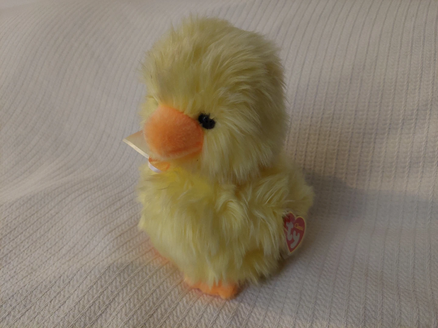 Ty Beanie Baby plush "cooper" larger size