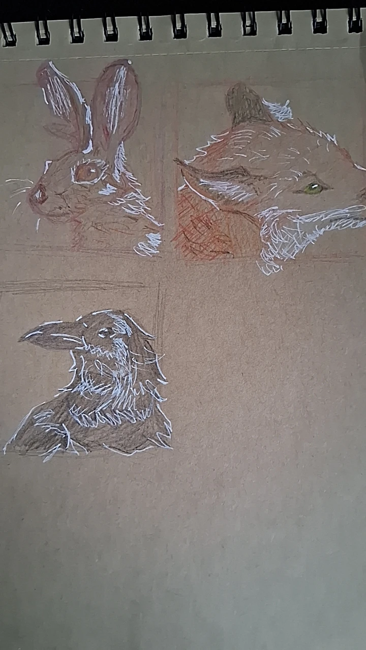 Sketchbook page with rabbit, fox, and crow drawings
