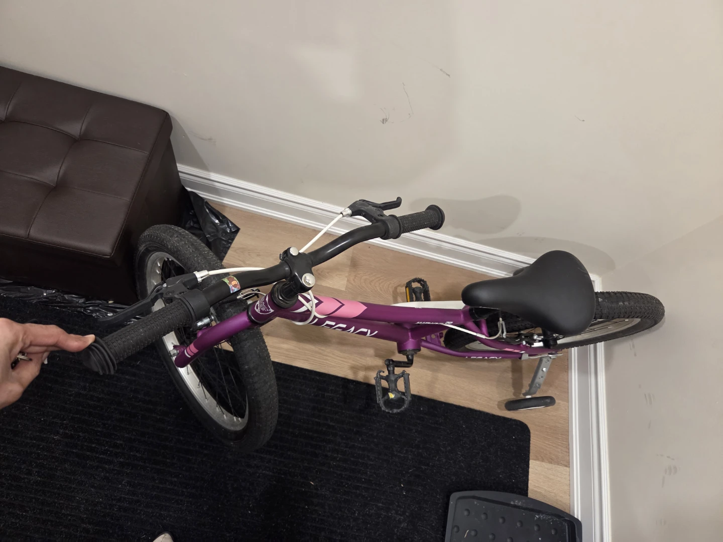 Legacy Junior 20 Kids Bicycle Purple - photo 4