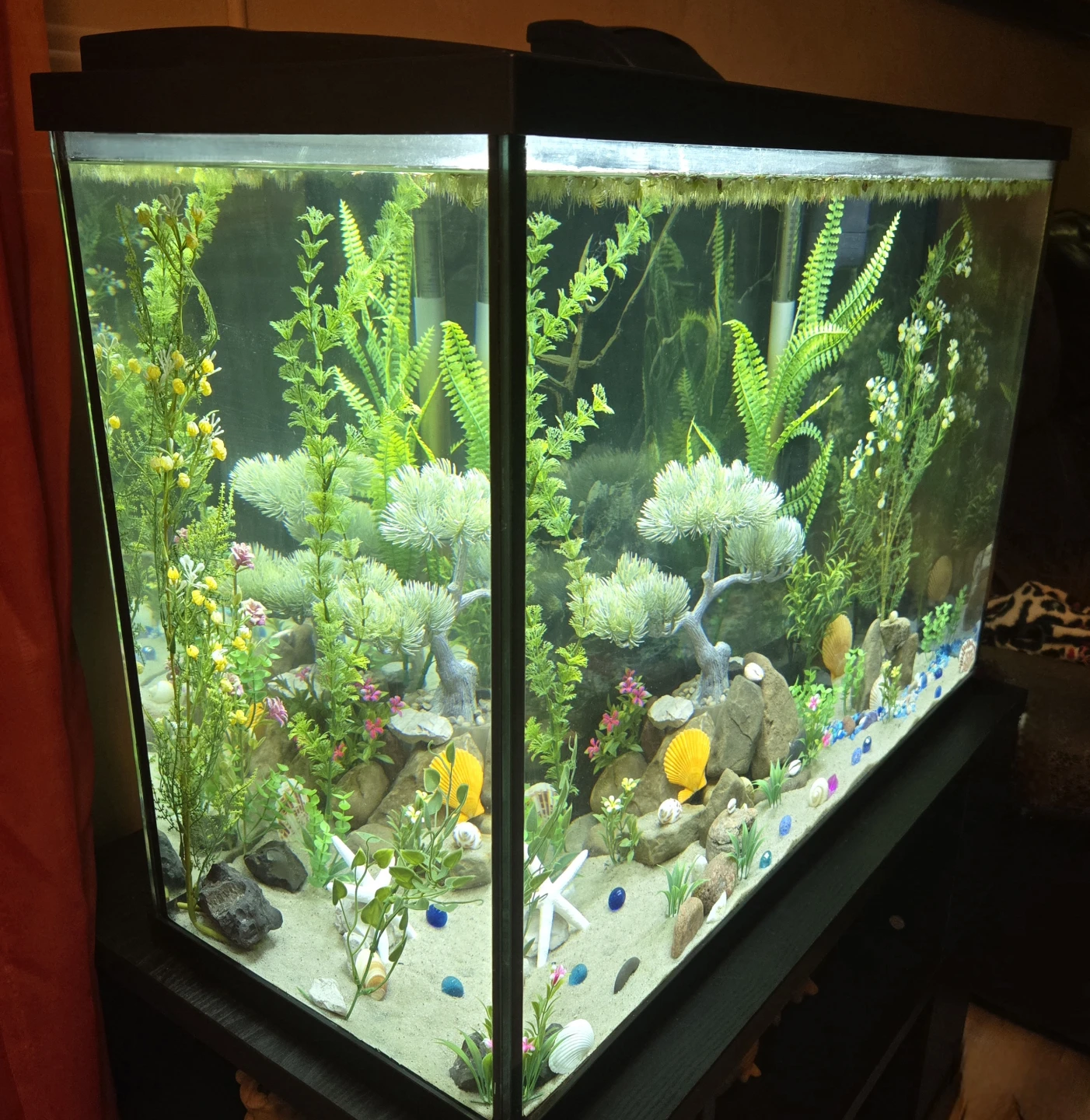Aquarium 35 Gallon EVERYTHING INCLUDED - photo 2