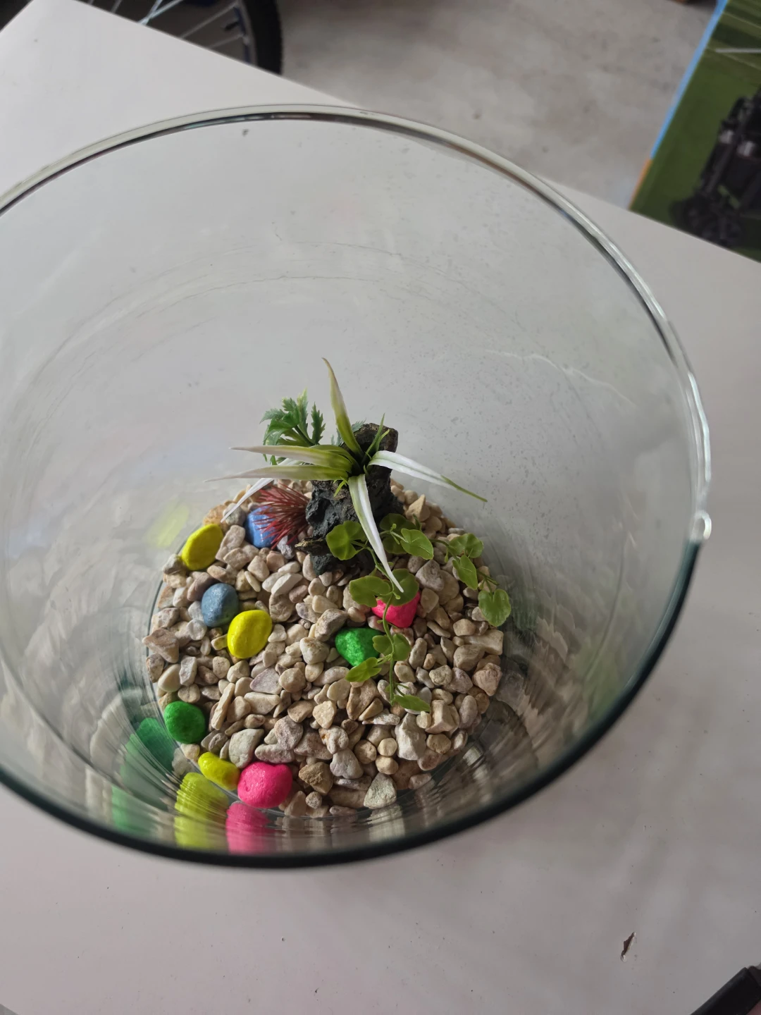 Glass Fish Bowl Terrarium with Decorative Rocks and Plants - photo 4