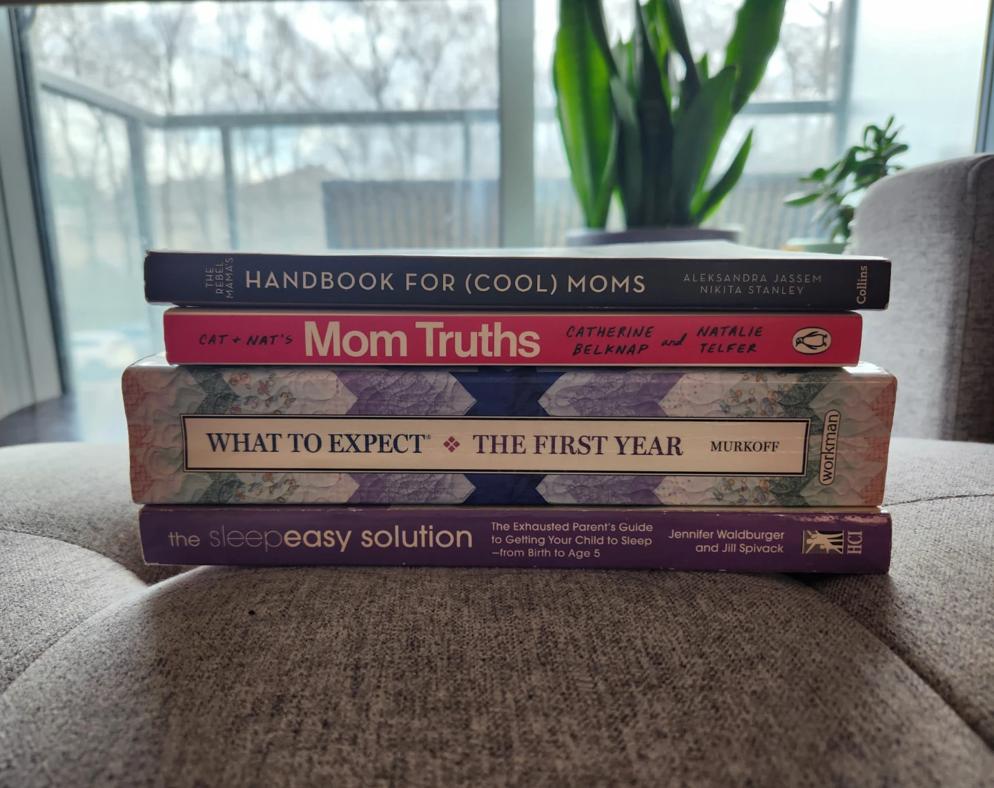 Parenting Book Lot - photo 2