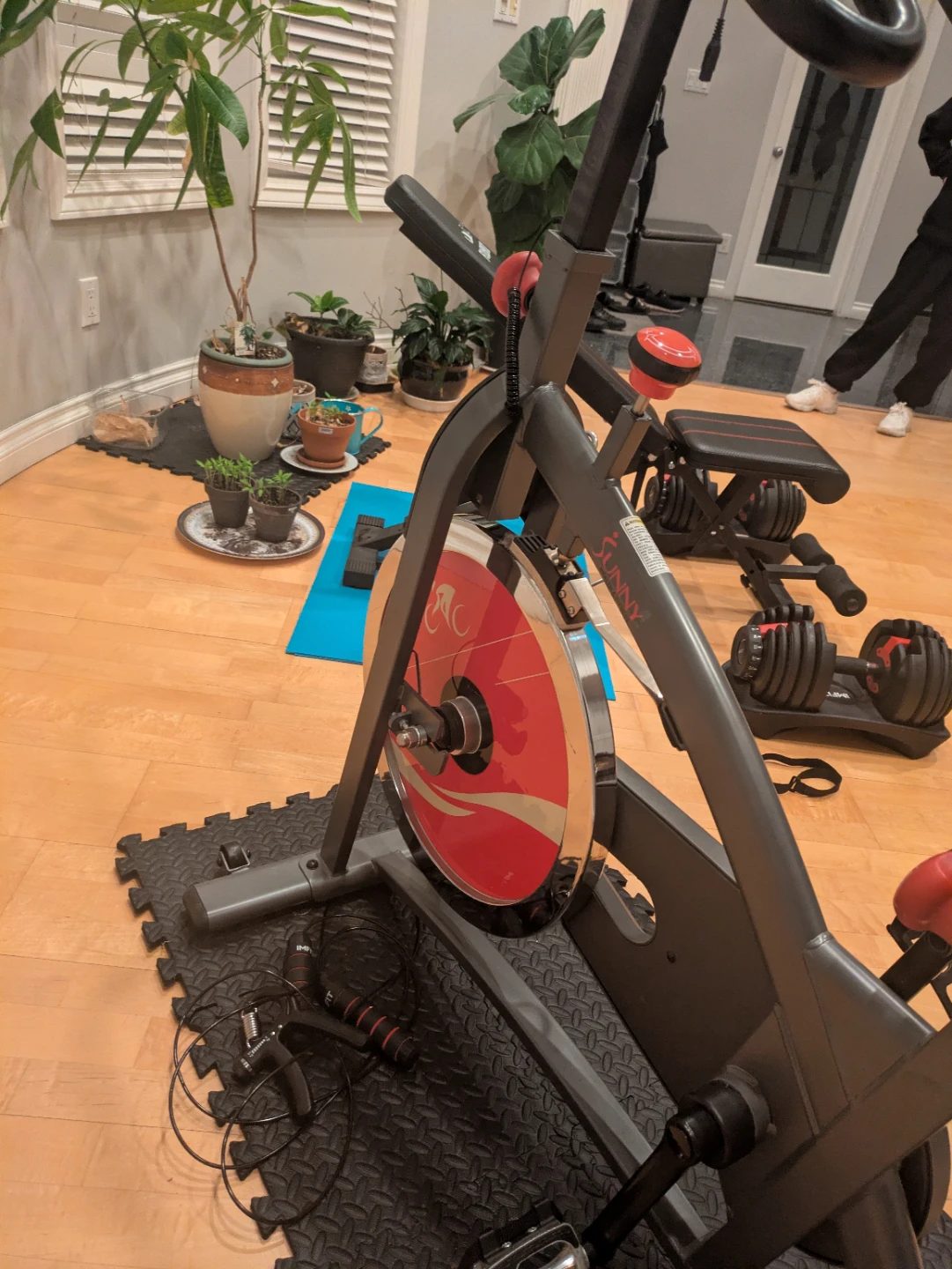 Sunny Health & Fitness Indoor Exercise Bike - photo 3