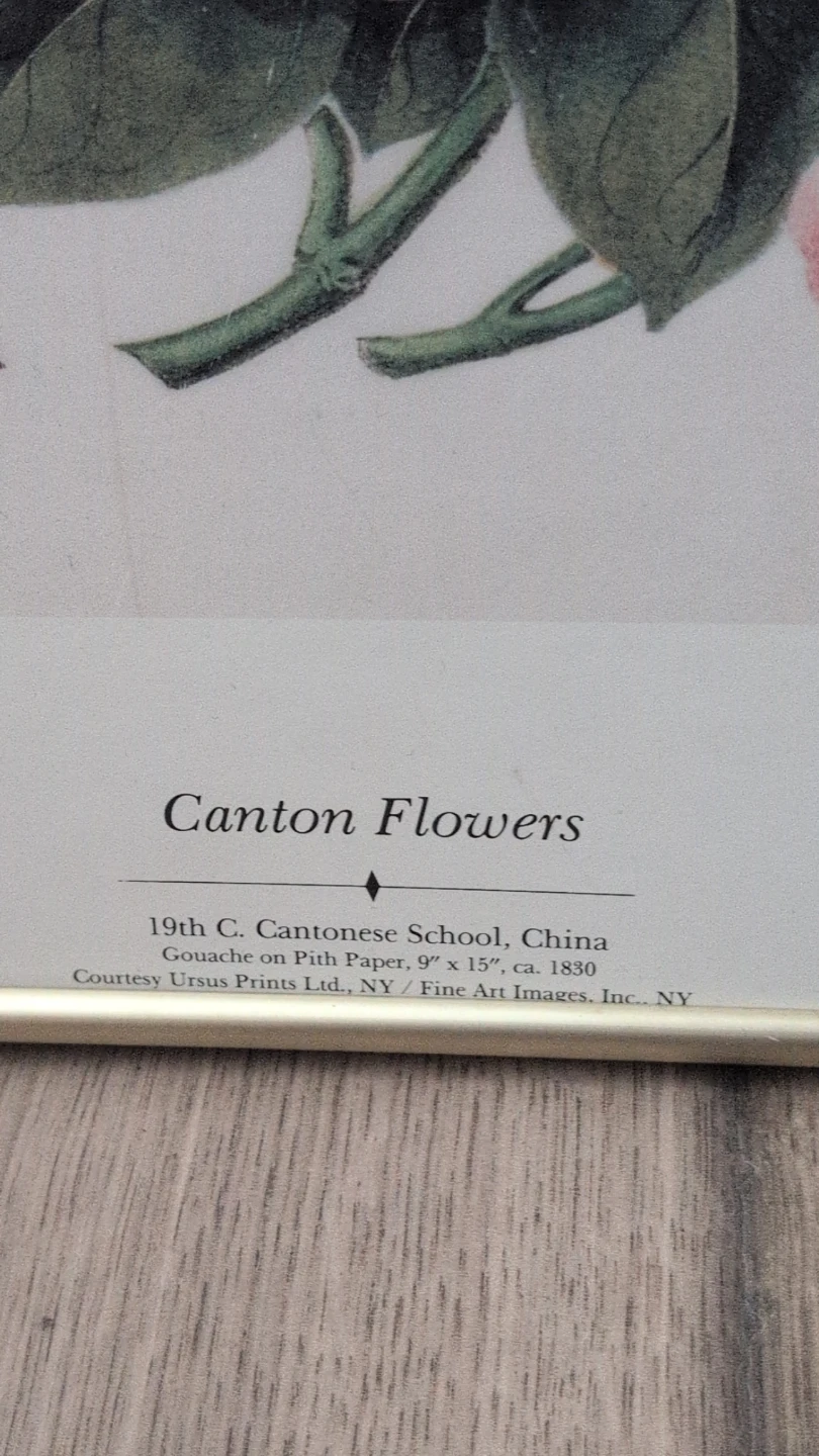 Framed Cantonese Flowers Print - photo 3