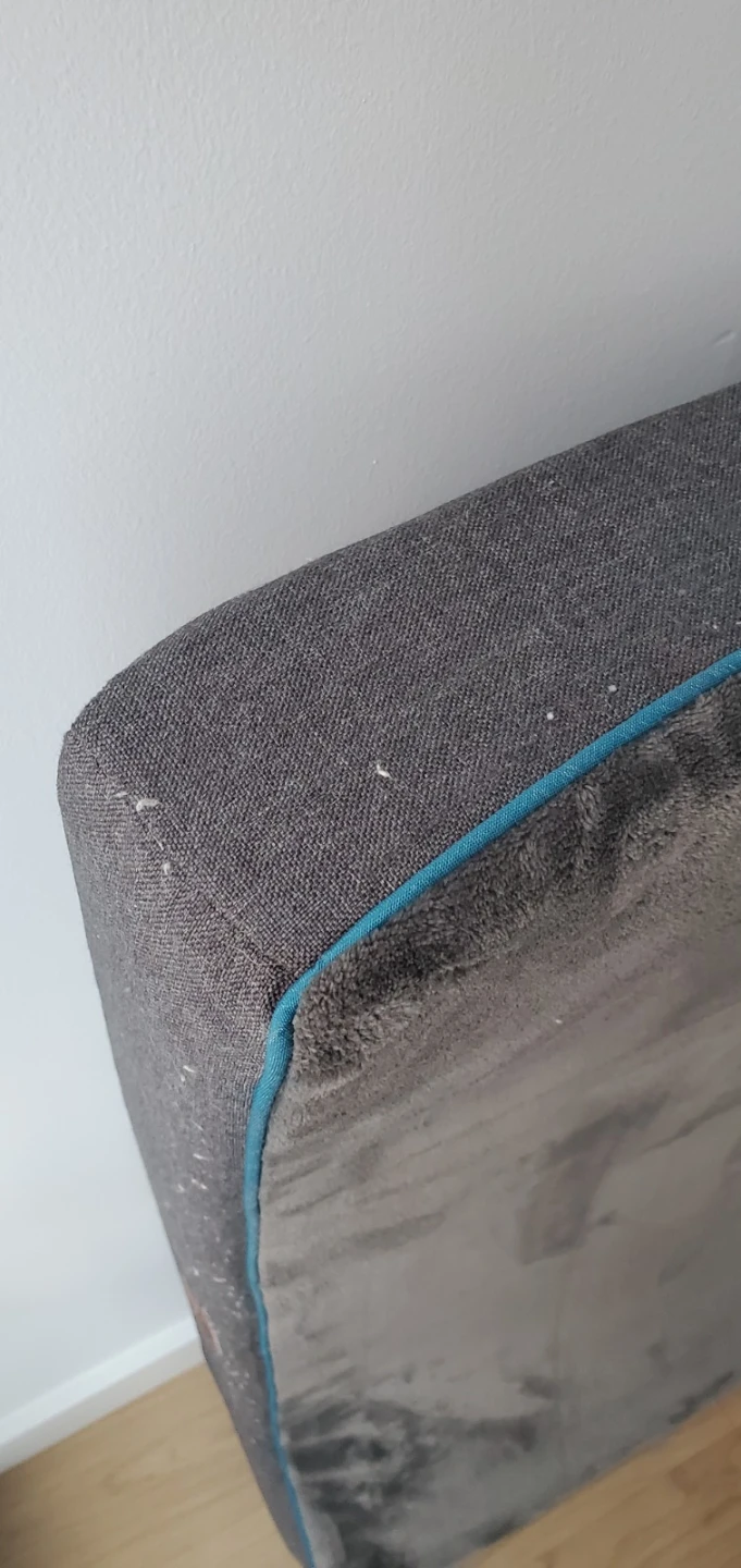 Orthopaedic Memory Foam Dog Bed got XL Dogs - photo 2