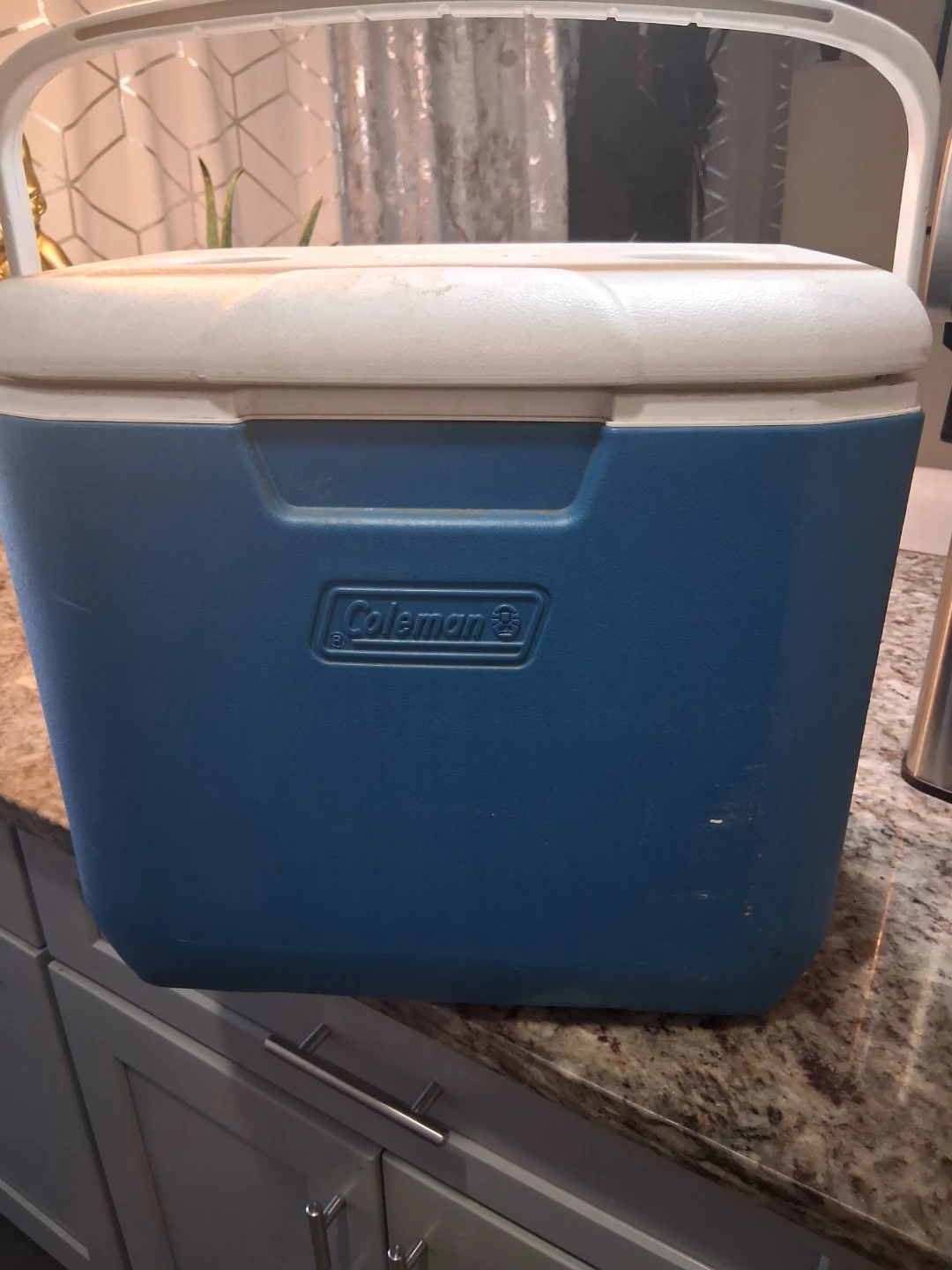 Coleman Blue Cooler