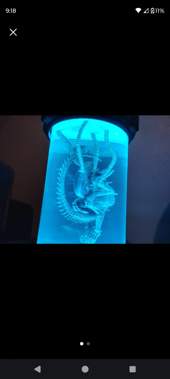 Alien Xenomorph Specimen Display