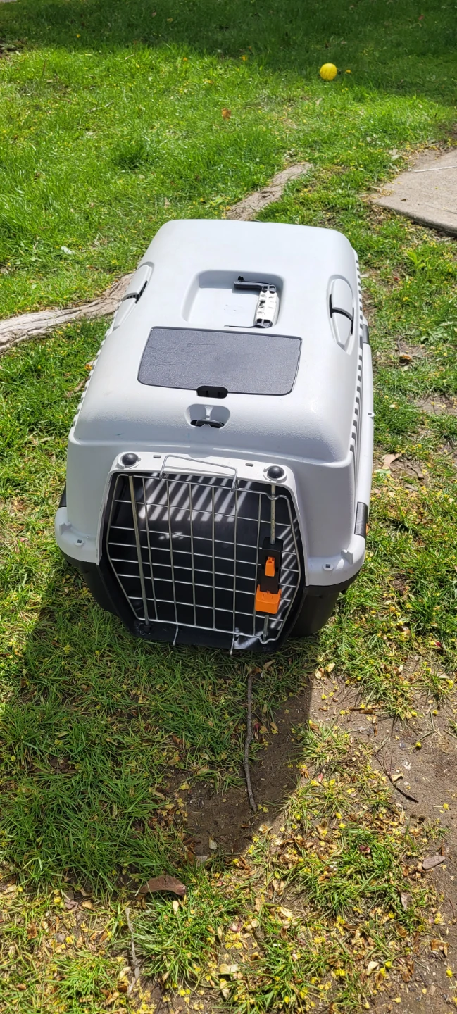 Pet Carrier Crate