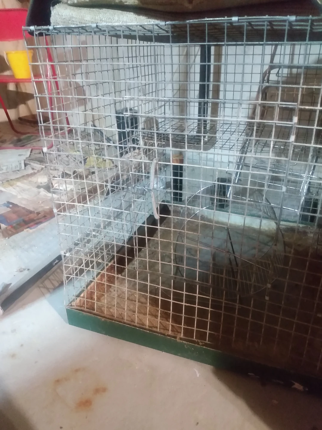 Wire Animal Cage