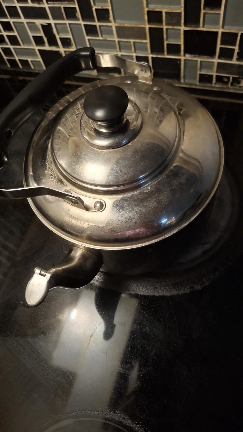 Supor 5L Stainless Steel Whistling Kettle - photo 4