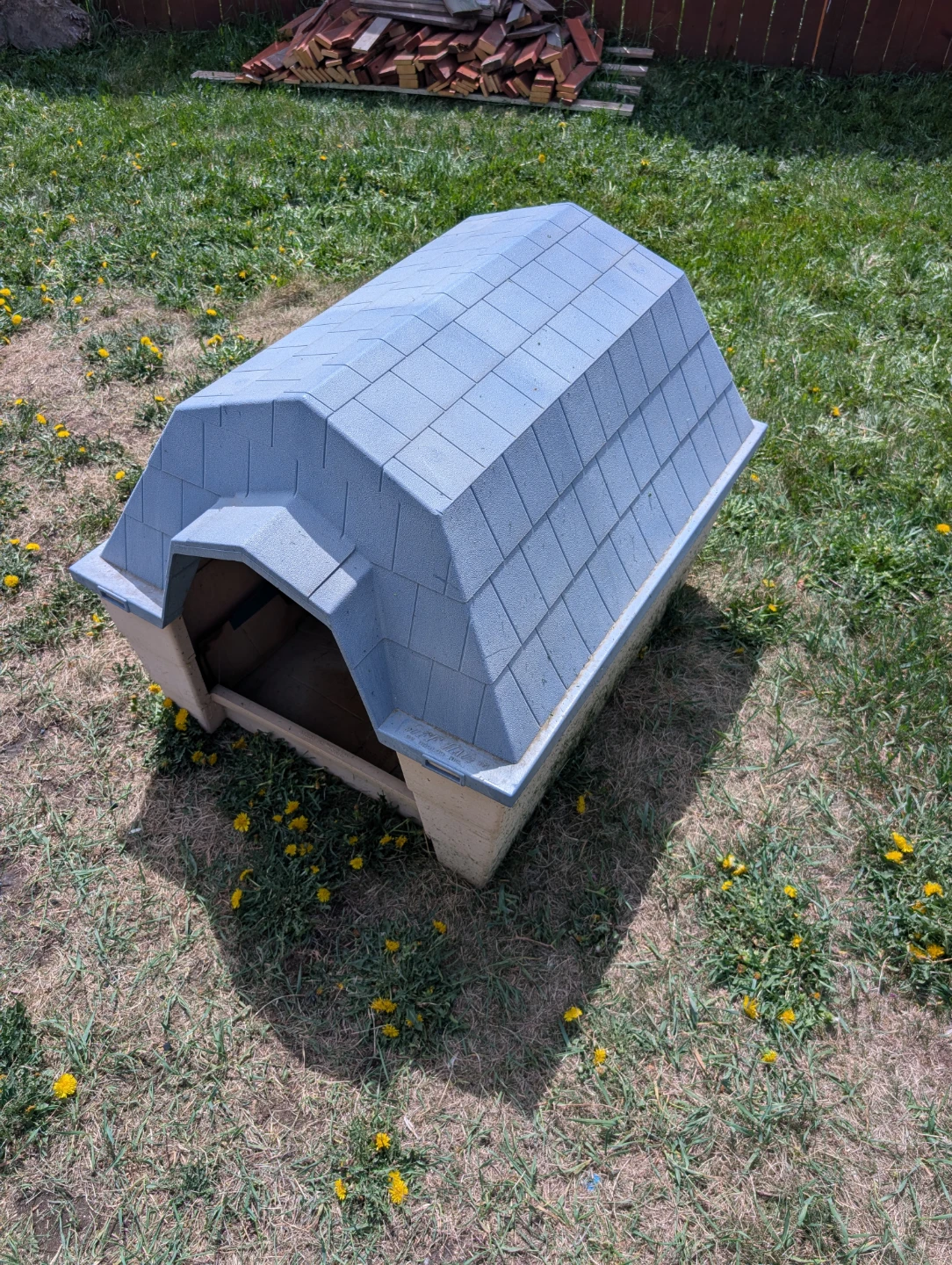 Plastic Dog House