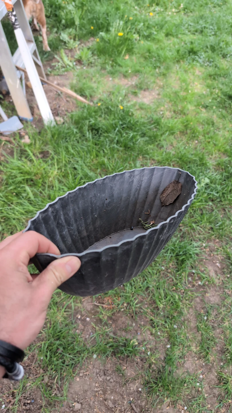 Black oval planter pot