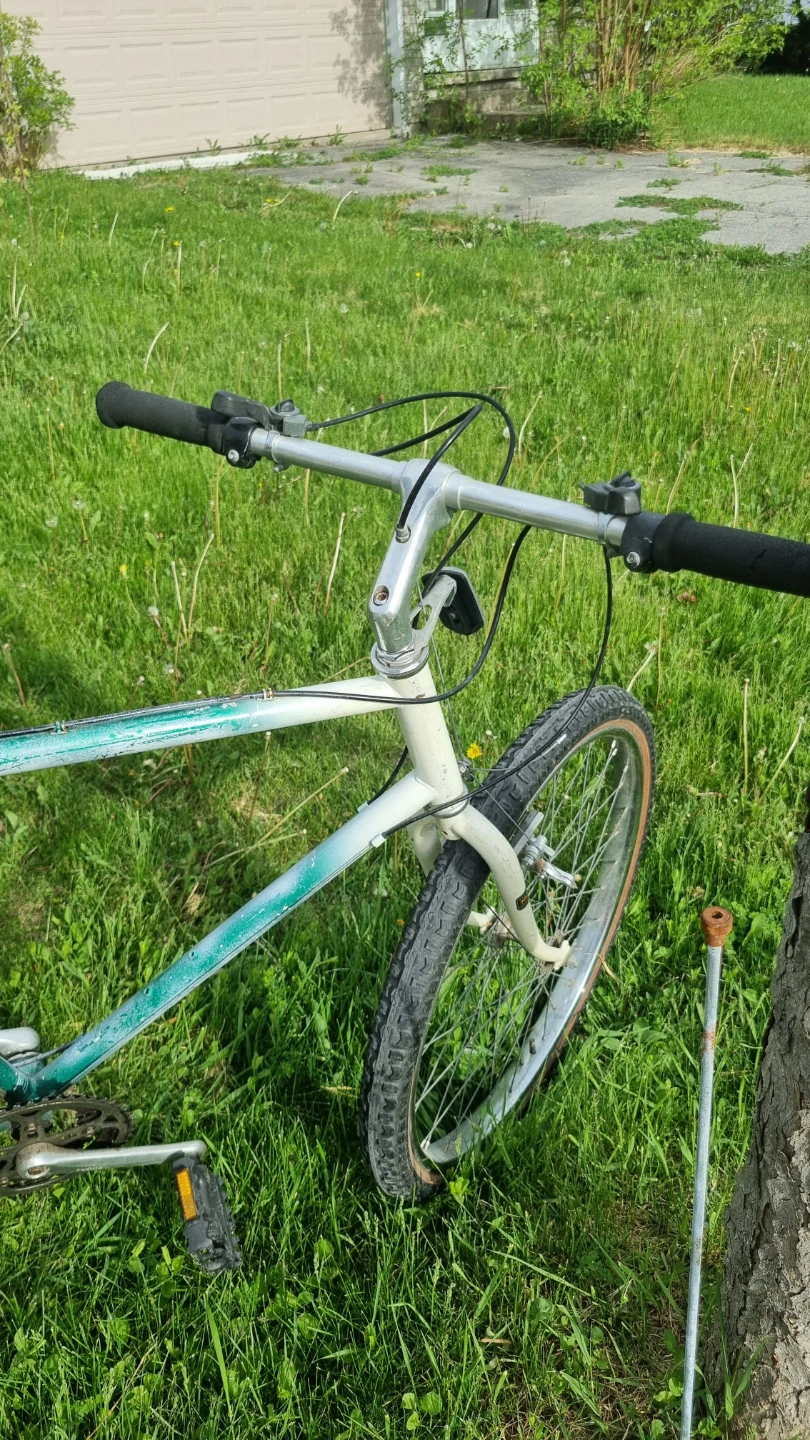 Vintage Bicycle - photo 3