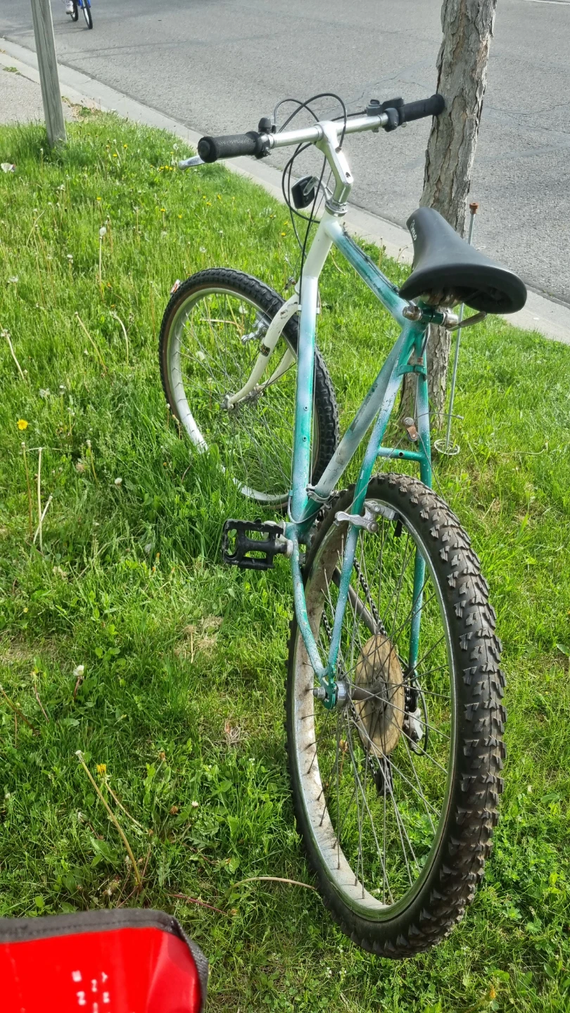 Vintage Bicycle - photo 4