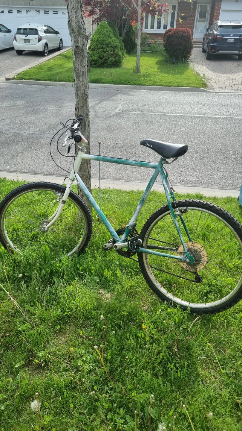 Vintage Bicycle - photo 5