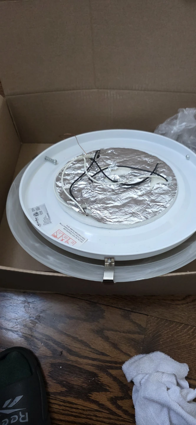 Flush Mount Ceiling Light Fixture - photo 4