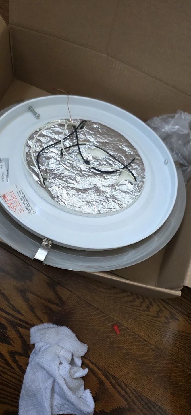 Flush Mount Ceiling Light Fixture - photo 5