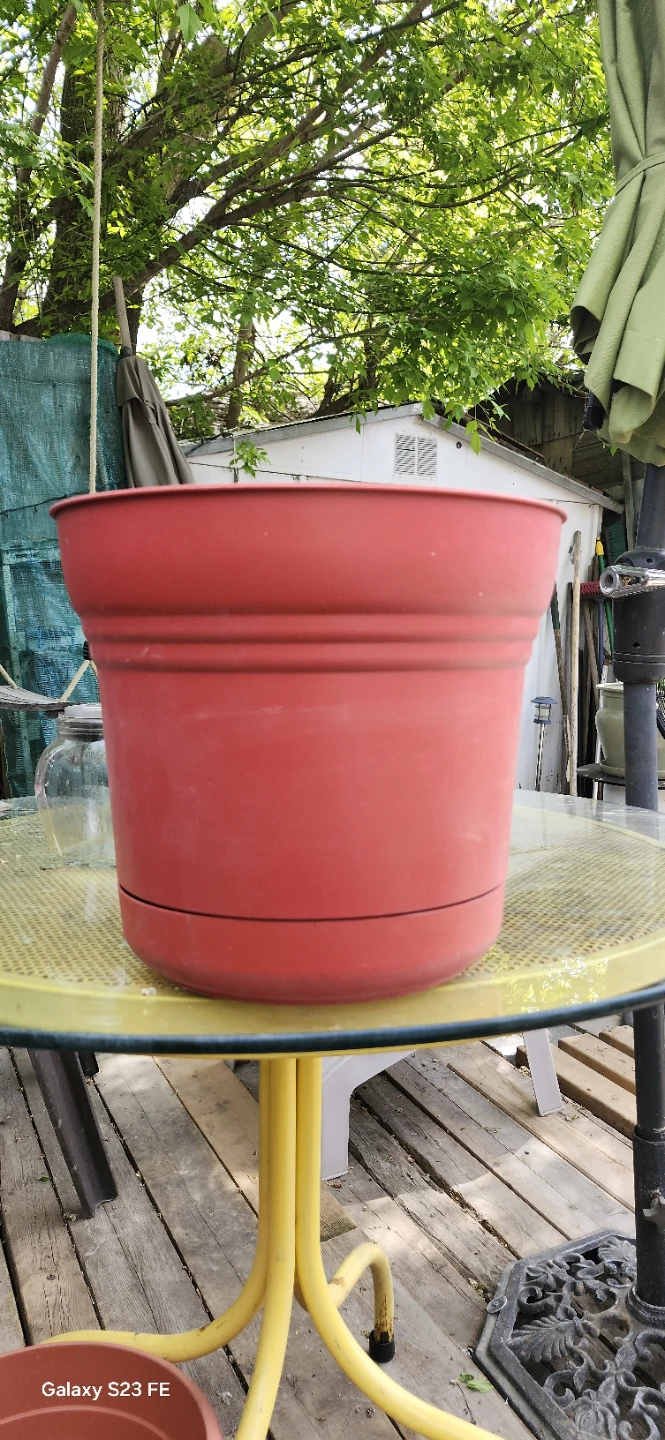 Red Plastic Planter Pot