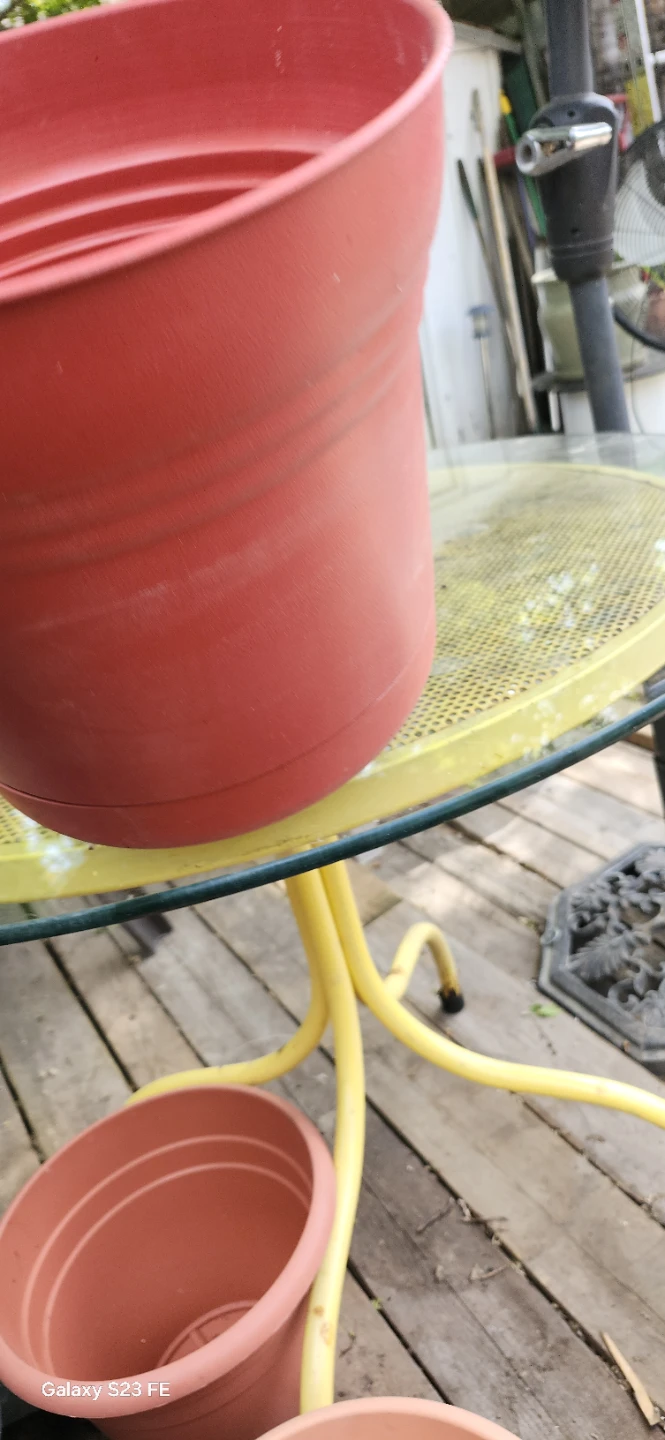Red Plastic Planter Pot - photo 2