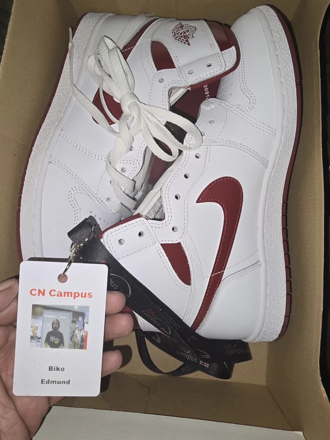 Air Jordan 1 '85