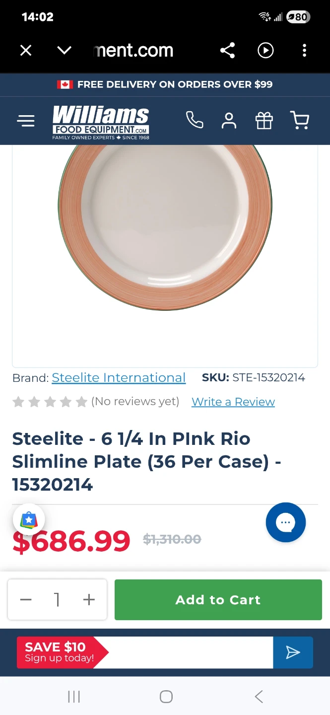 Steelite Rio Pink Slimline International Plates (Set of 4) - photo 5