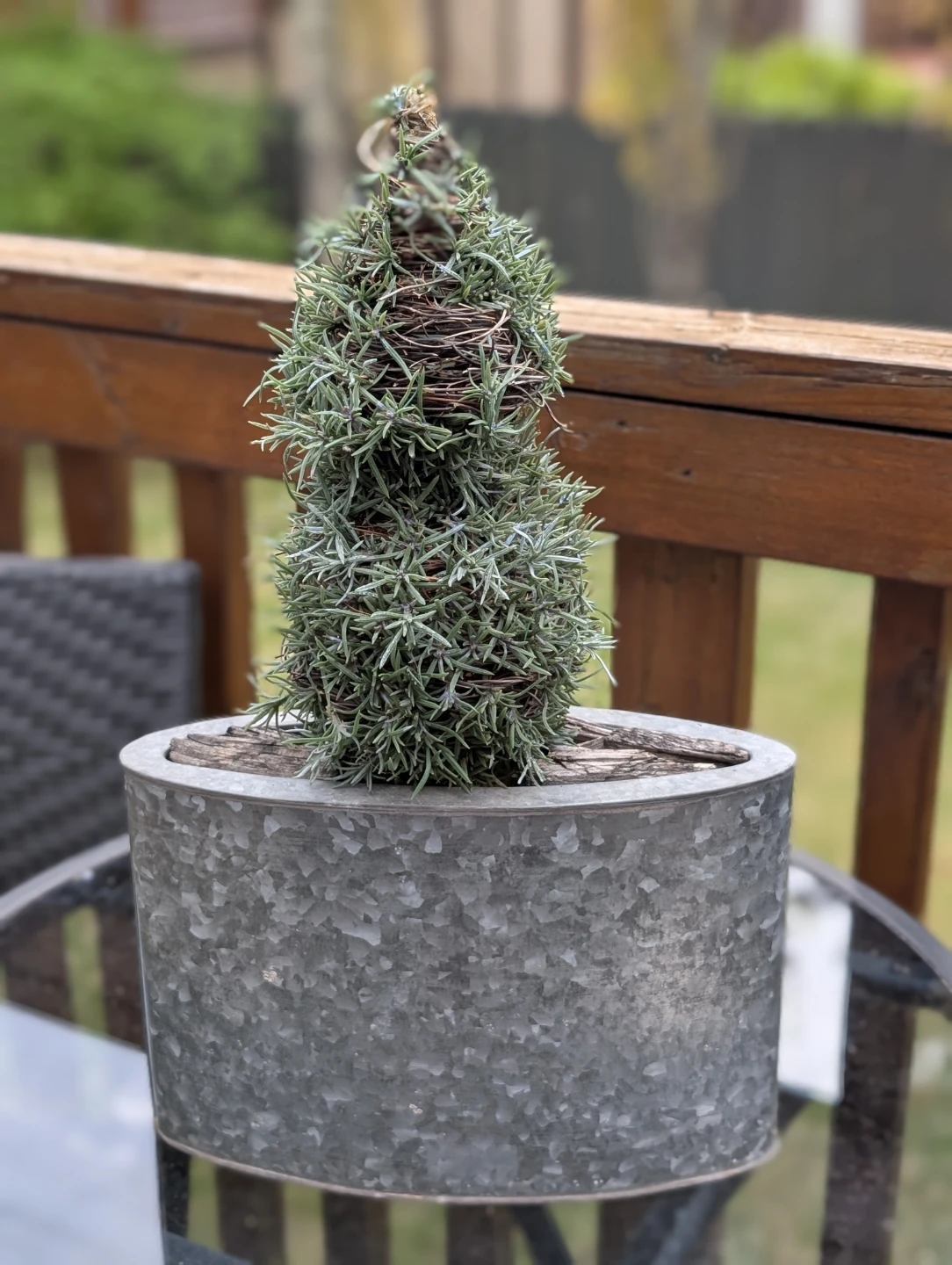 Super Cute Faux Topiary Planter - photo 2