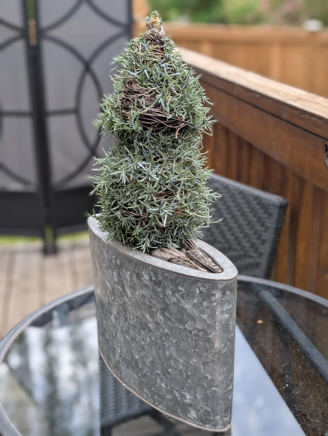 Super Cute Faux Topiary Planter - photo 3