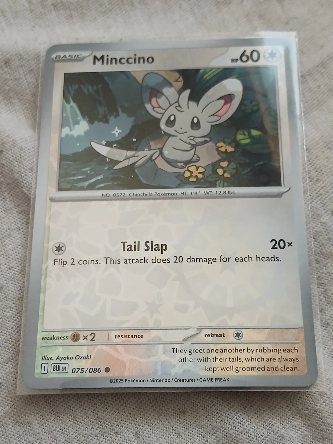 2025 Minccino Pokémon Card