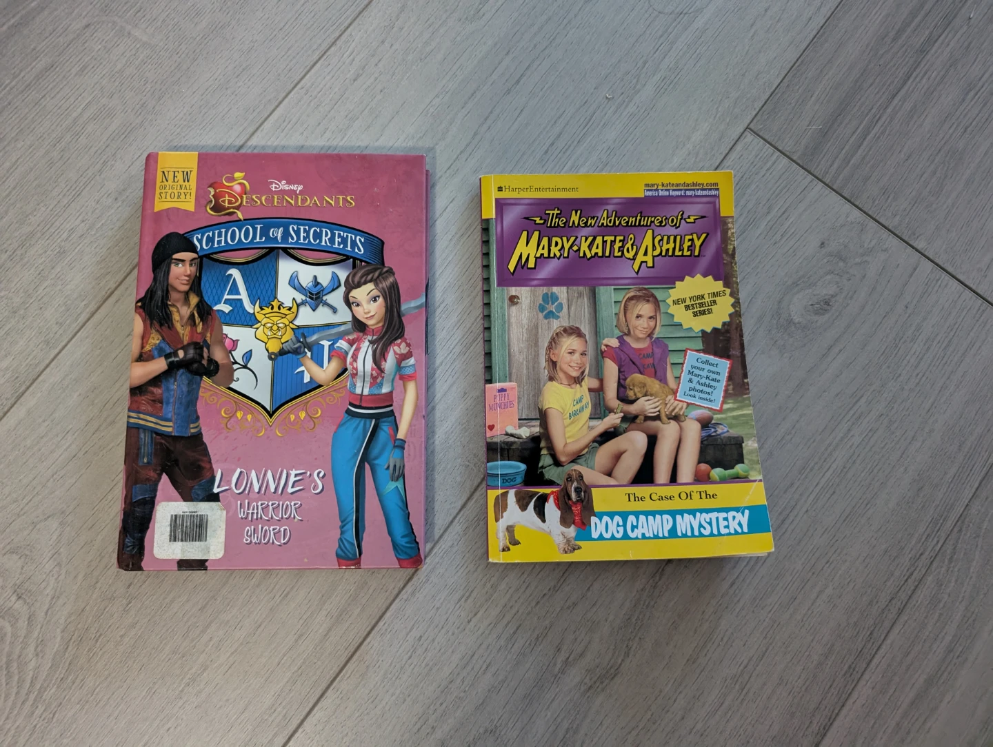 Disney Descendants School of Secrets & Mary-Kate & Ashley Books