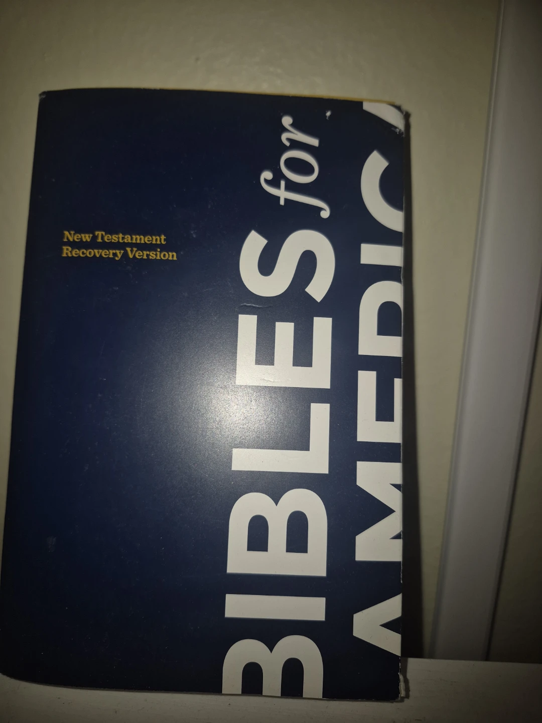 Bibles for America New Testament Recovery Version