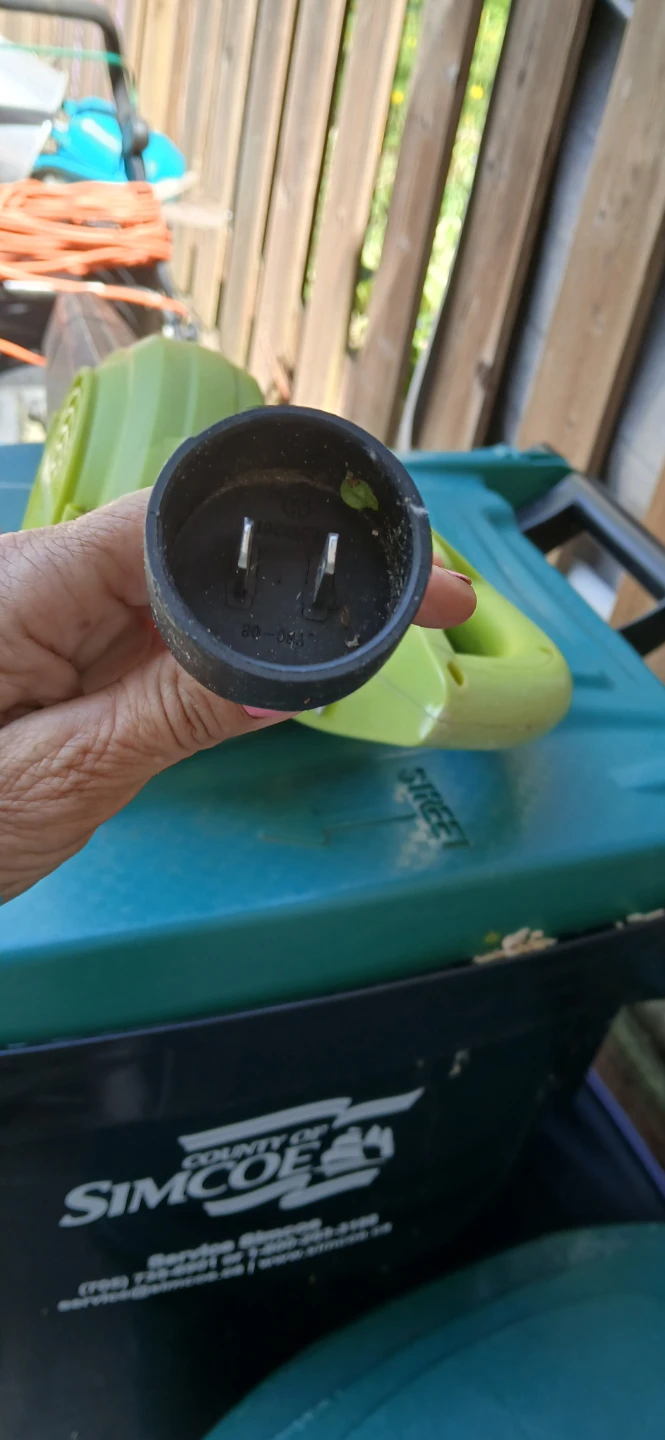 Sun Joe Electric Blower - photo 2