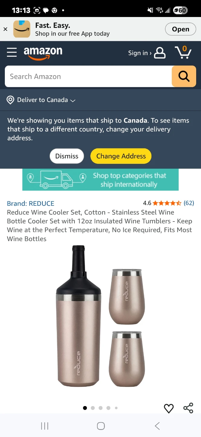Wine Cooler Set with Tumblers - photo 4