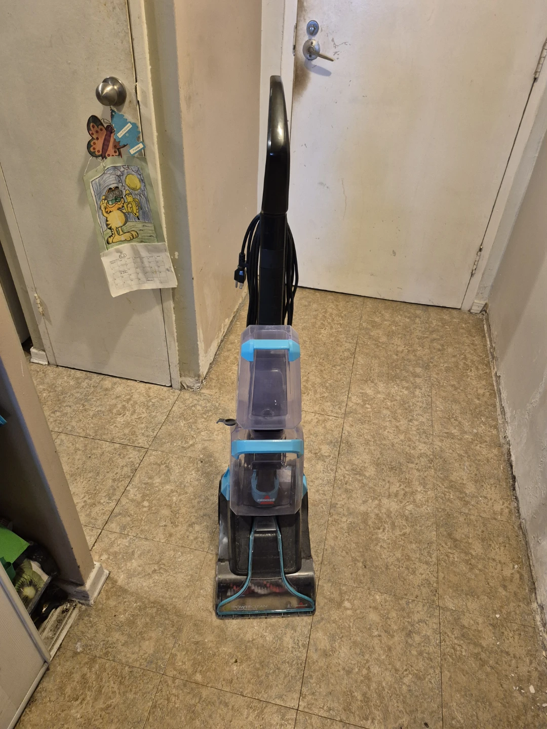 Bissell Carpet Cleaner