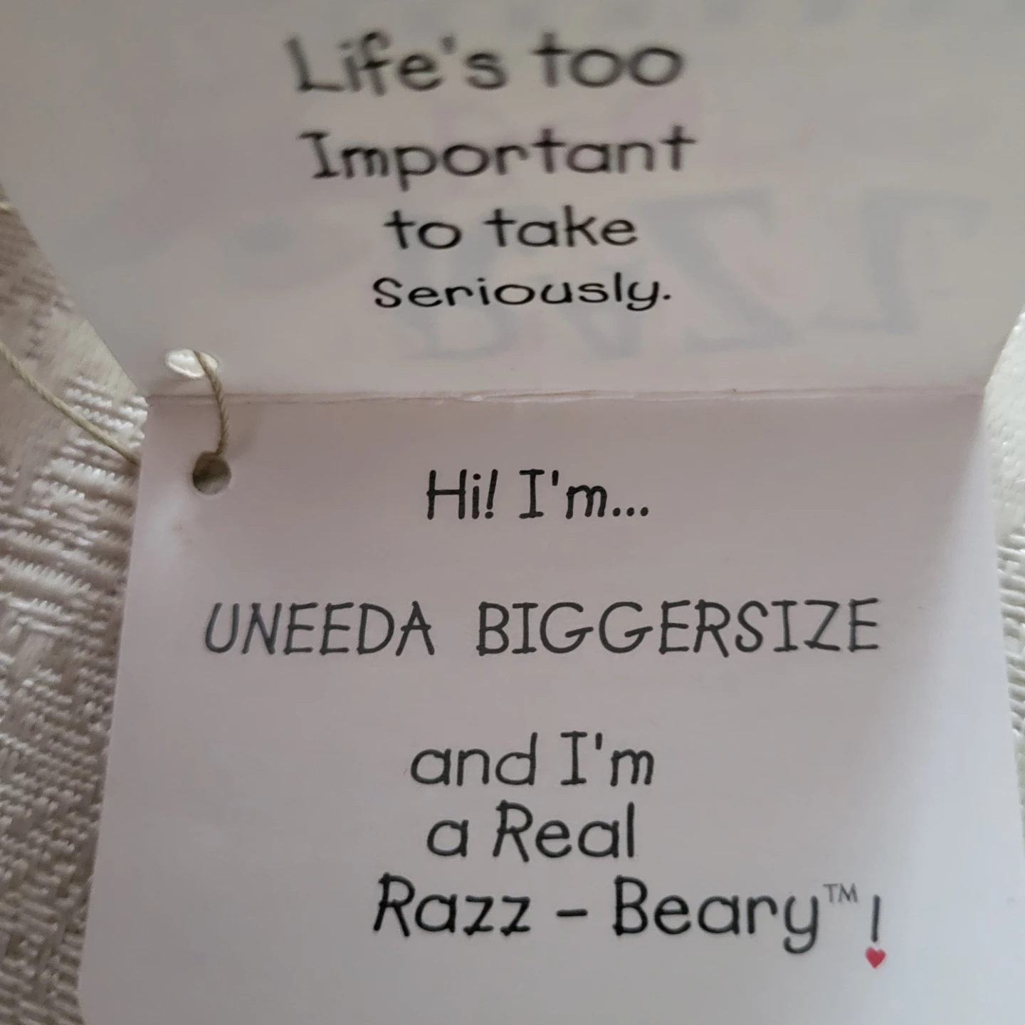 Razz-Beary "Uneeda Biggersize" Plush Toy - photo 5