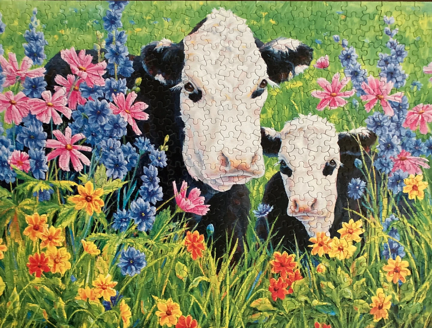 "MOO” 550 PIECE PUZZLE (BY CEACO)