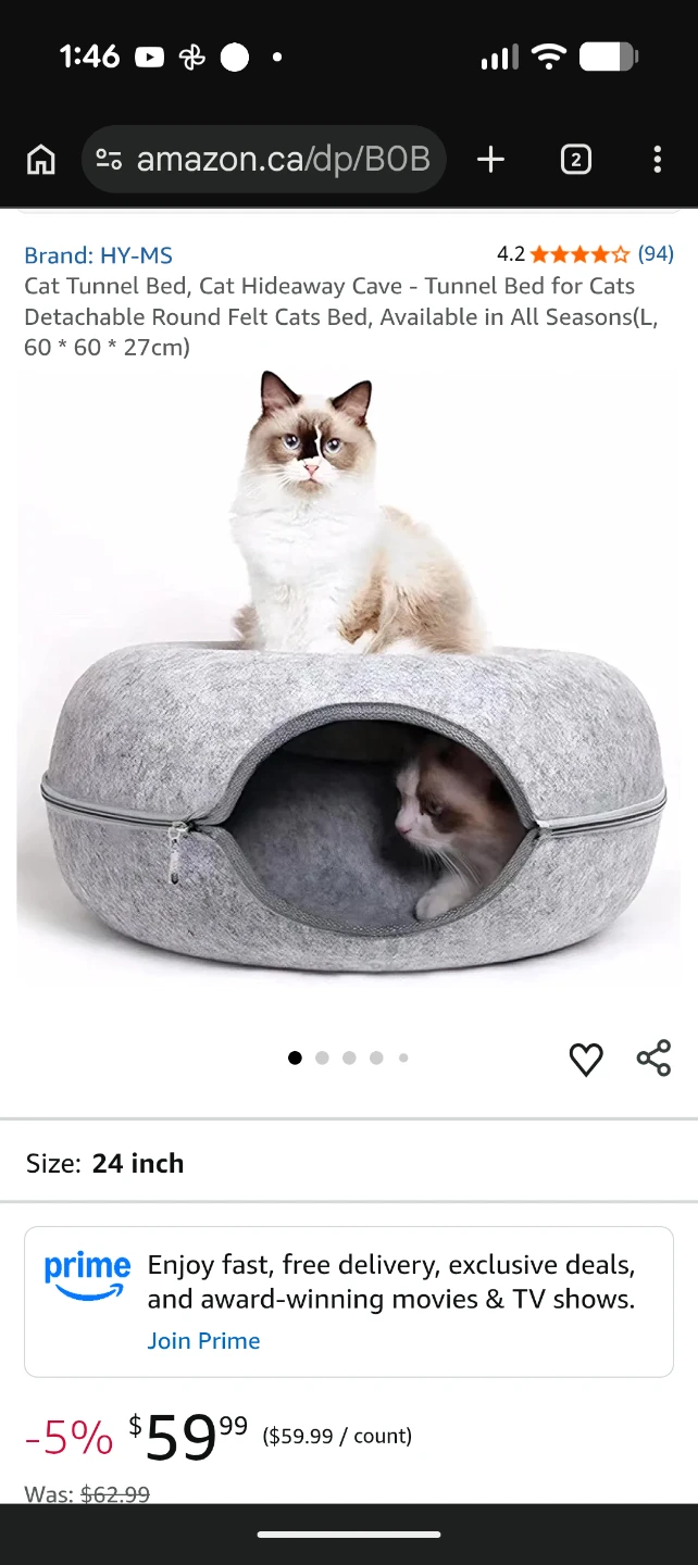 Cat Essentials-Bed, Litterbox/Genie, Tunnel/Bed, 2 Posts, etc. - photo 5