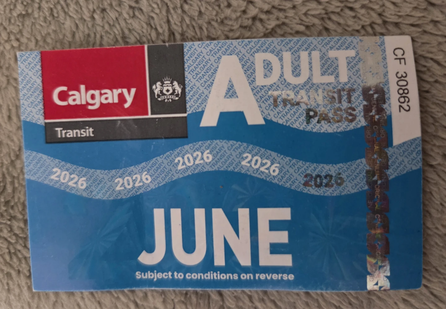 Adult June pass