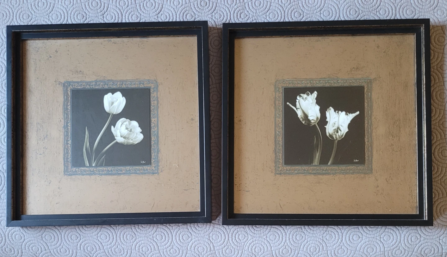 Set of 2 Framed Tulip Wall Art