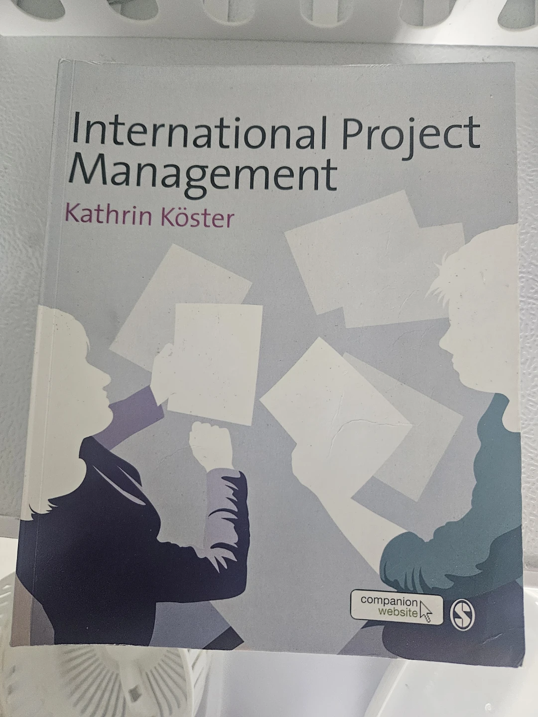 Project management book