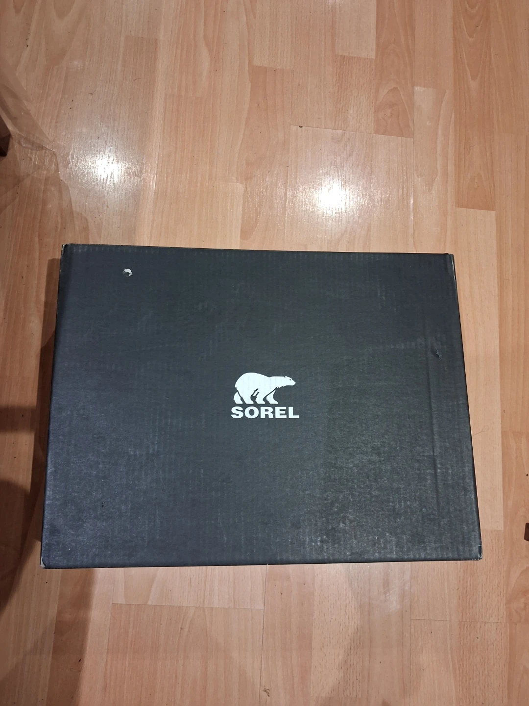 Sorel Winter Boots