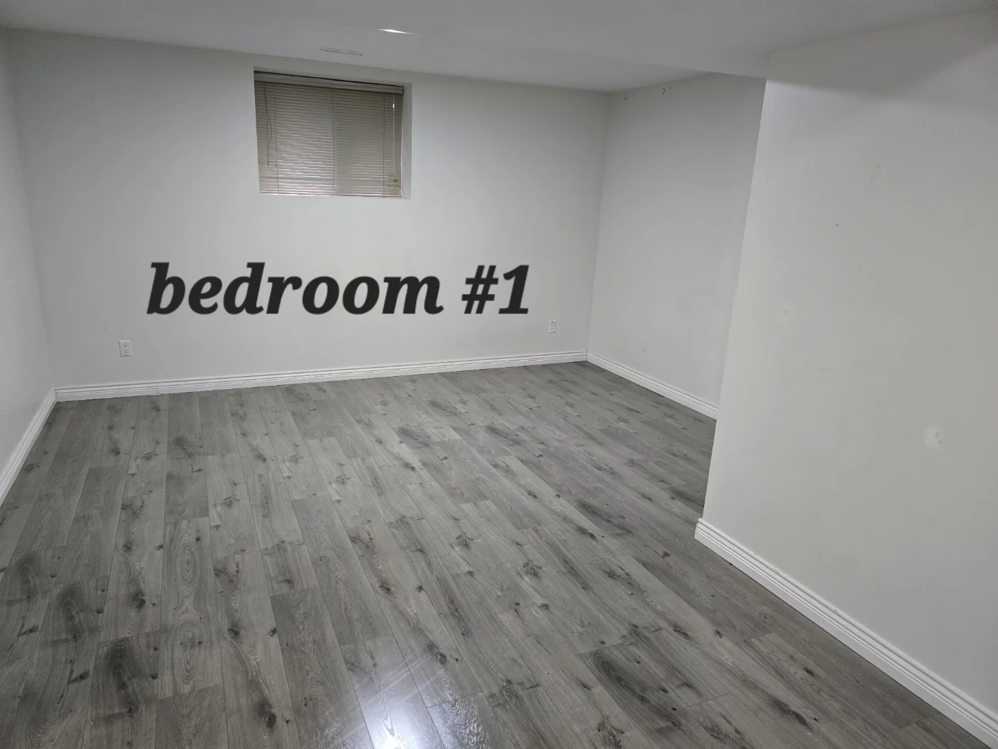 3 Bedroom Basement Suite for Rent - photo 5