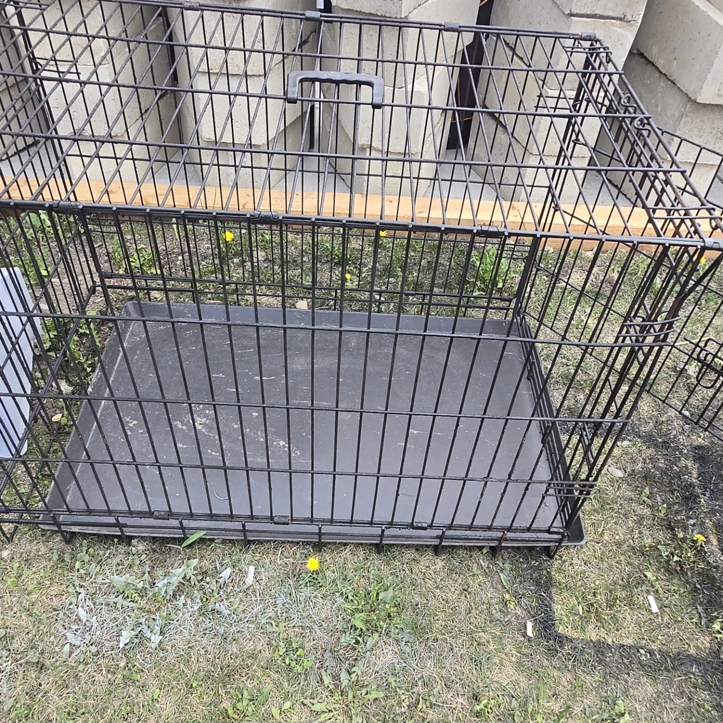 Black Metal Dog Crate with Tray