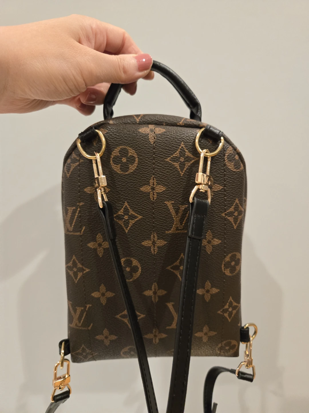 Louis Vuitton Monogram Mini Backpack 20cm - photo 3
