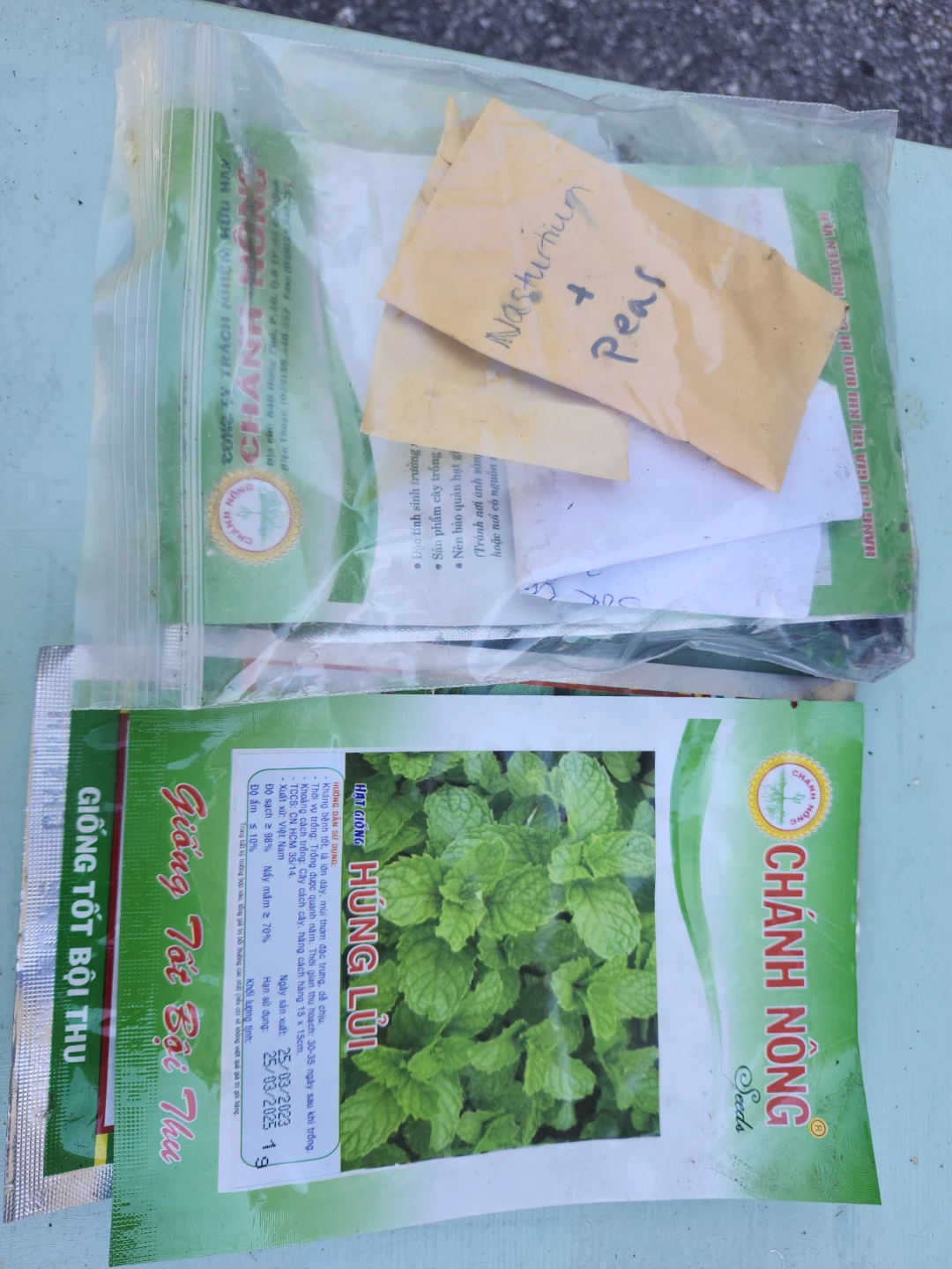Assorted Seeds