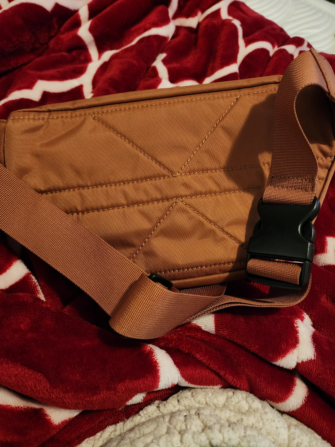 Frye Fannypack - photo 3