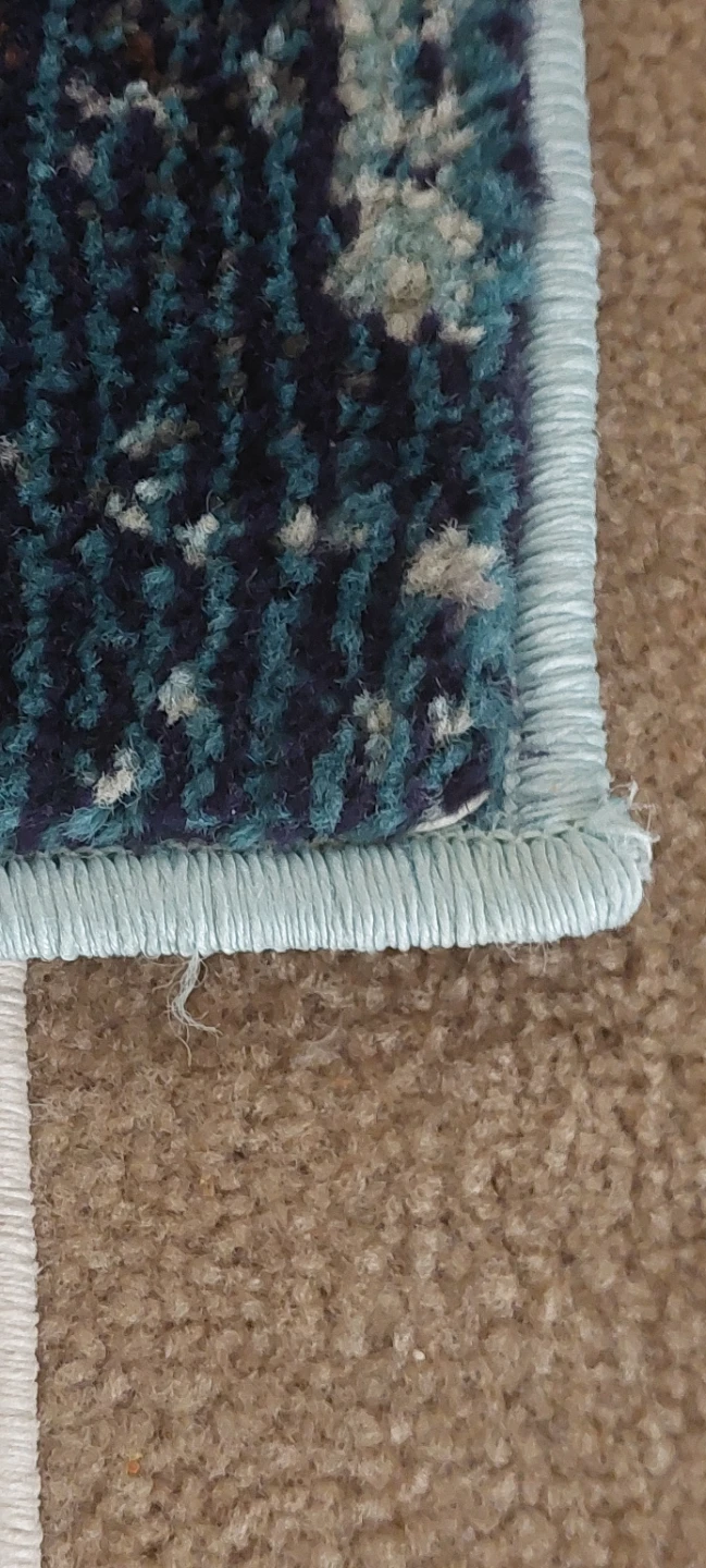 Hallway /  Runner Rug - Blue 2'7" x 10" - photo 4