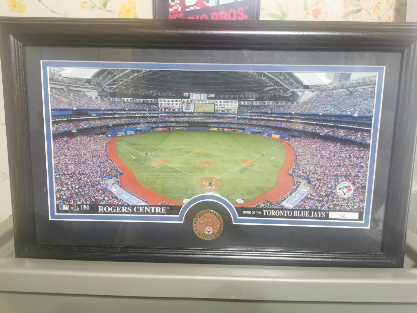 Toronto Blue Jays Rogers Centre Limited Edition Framed Photo