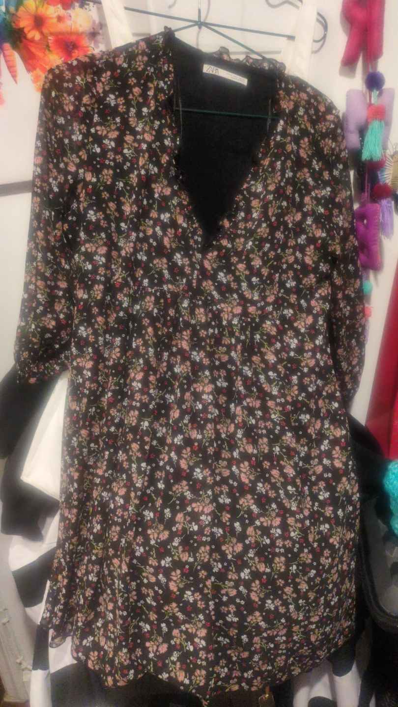 ZARA Floral Print V-Neck Mini Dress