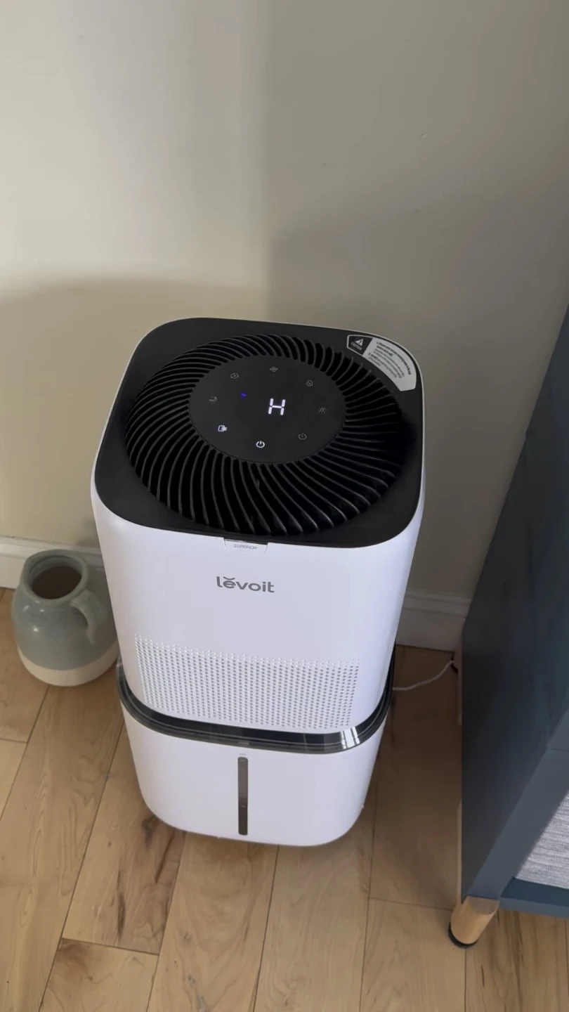 Levoit Air Purifier 6000s