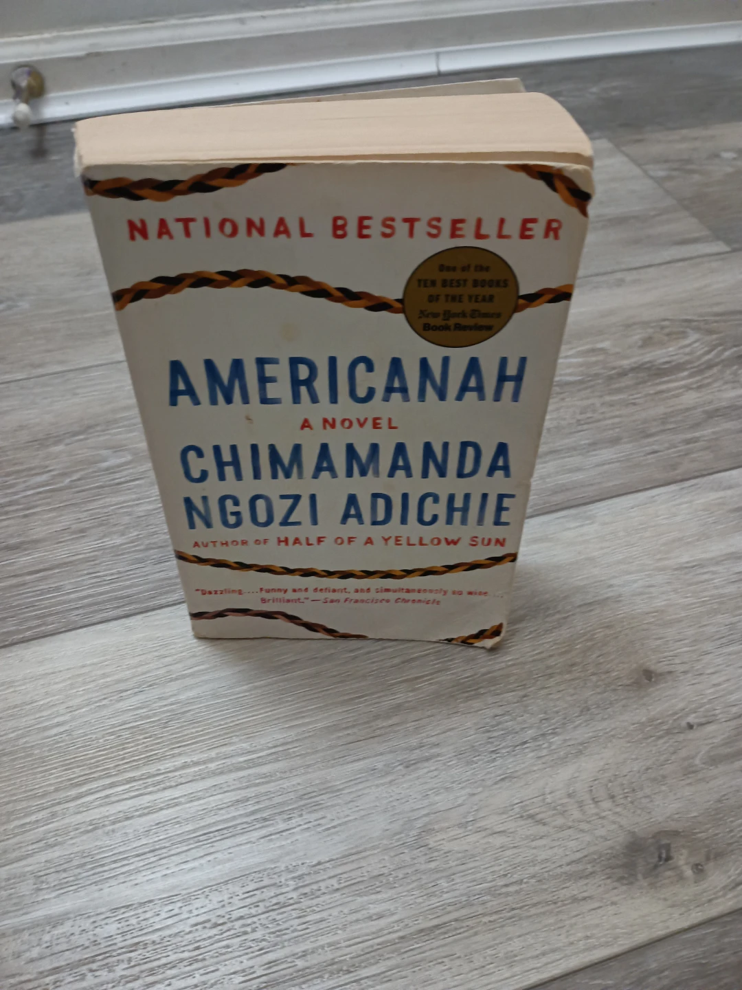Americanah Novel by Chimamanda Ngozi Adichie - photo 2